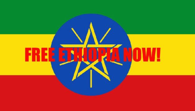 free-ethiopia