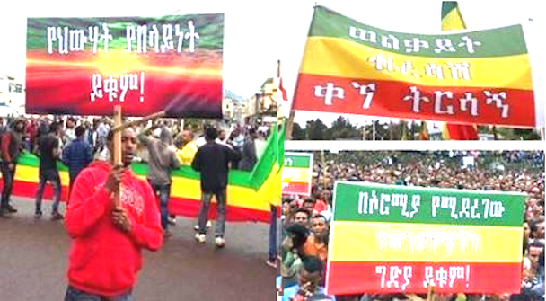 “ሲመረው የማይነሳ ህዝብ የለም ባለም፣” አለ አቦይ ስብሐት ነጋ!