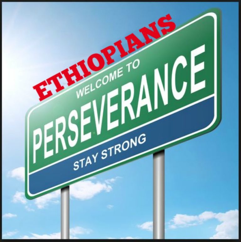 Ethiopia 2016 in Review: The Year of Perseverance!