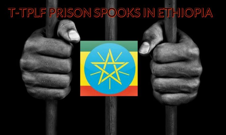 The T-TPLF Spook Who Sat by the Jailhouse Door in Ethiopia (Part I)