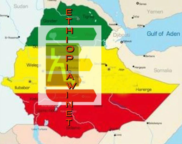 Fighting T-TPLF Internal Colonialism: Defeating EthiopiawiNOT With EthiopiaWINET (Ethiopian-ness) (Part II)