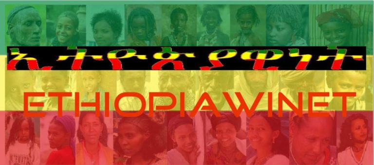 Fighting T-TPLF Internal Colonialism Using the Irresistible Power of EthiopiaWINet (Ethiopian-ness) (Part III)