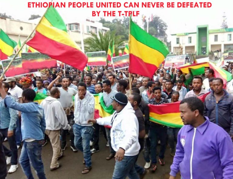 198 Ways to Fight the T-TPLF’s State of Emergency in Ethiopia and Win