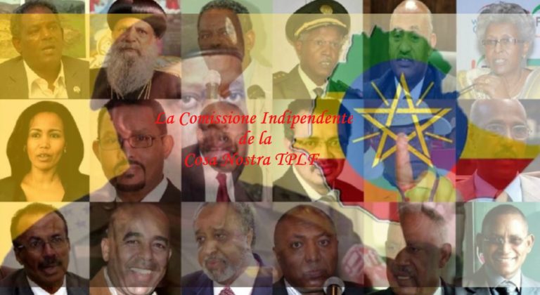 An “Independent Commissione” for Ethiopia?: A Rejoinder to Tsadkan Gebretensae