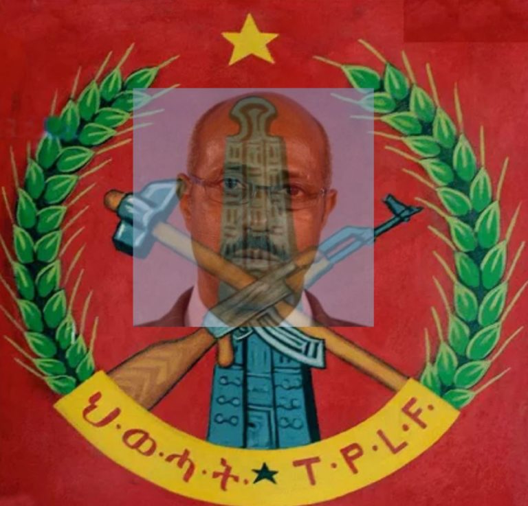 A Rejoinder to Seyoum Mesfin’s Call to Arms to the People of Tigray