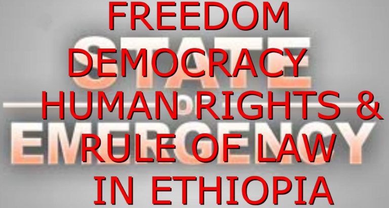 Memorandum No. 5: PM Abiy Institutionalizing the Rule of Law and Deinstitutionalizing the Rule of Men and Lifting the State of Emergency in Ethiopia