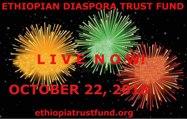 Ethiopian Diaspora Trust Fund is Now Live: A Labor of Love, A Work in Progress