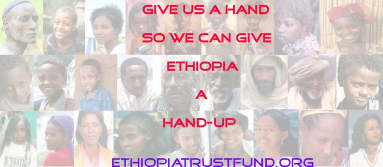 Ethiopian Diaspora Trust Fund: Reach Down and Lift Up…