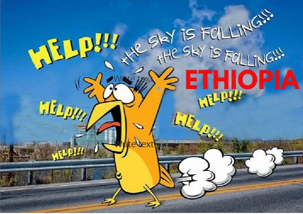 The Chicken Littles Are Clucking, “The Sky is Falling on Ethiopia!”