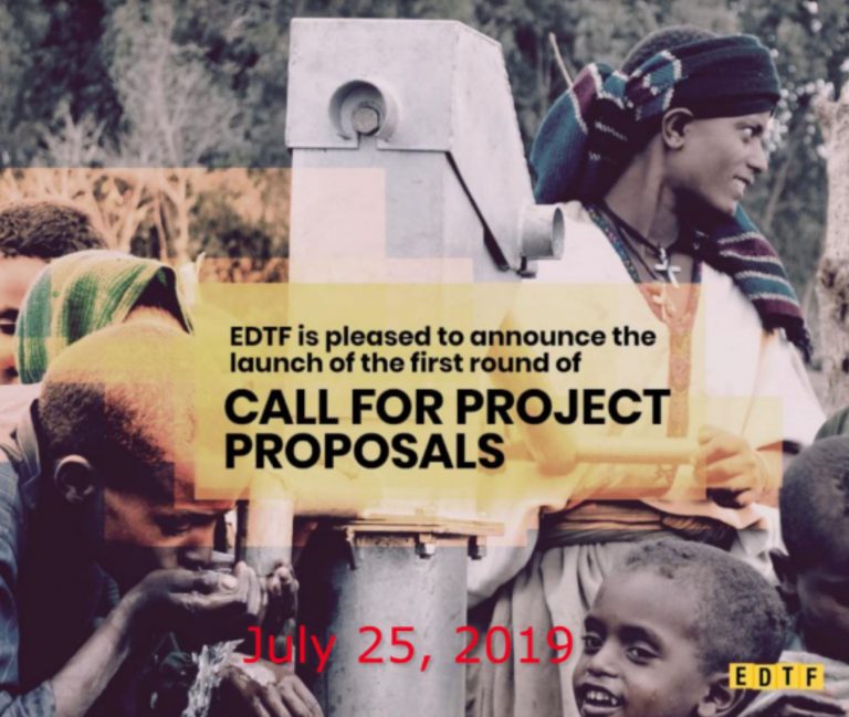 We Made History With the Ethiopian Diaspora Trust Fund!