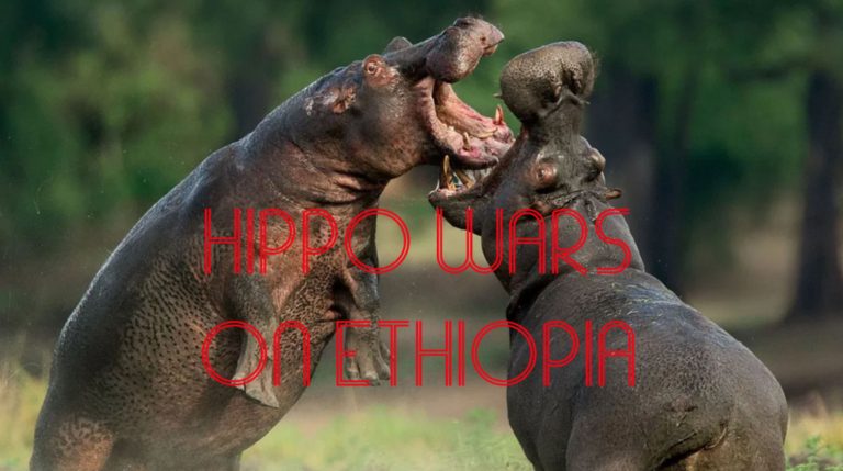 “OK, Hippos!”, Growled Ethiopia’s (Abo Shemanes) Cheetahs