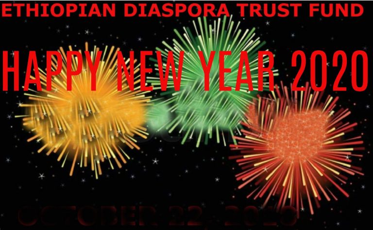 Making History With the Ethiopian Diaspora Trust Fund: 22 Projects Shortlisted for Funding!