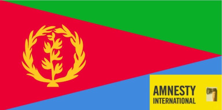 Scapegoating Eritrea: Amnasty International’s Hatchet Job of Lies and Damned Lies!