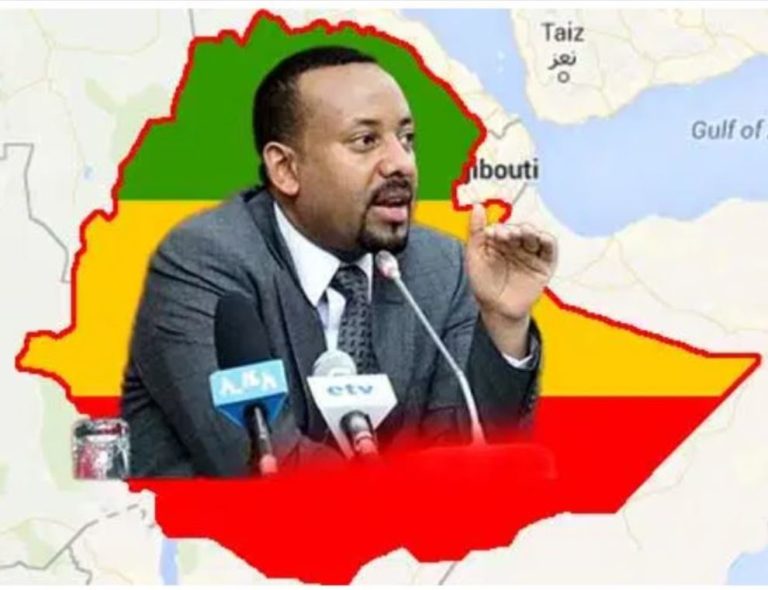 THANK YOU, PM ABIY AHMED FOR EVERYTHING YOU HAVE DONE AND CONTINUE TO DO FOR ETHIOPIA!