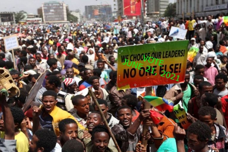 Dogs Keep Barking, Ethiopian Camel Keeps Walking on Medemer Avenue to the Polls