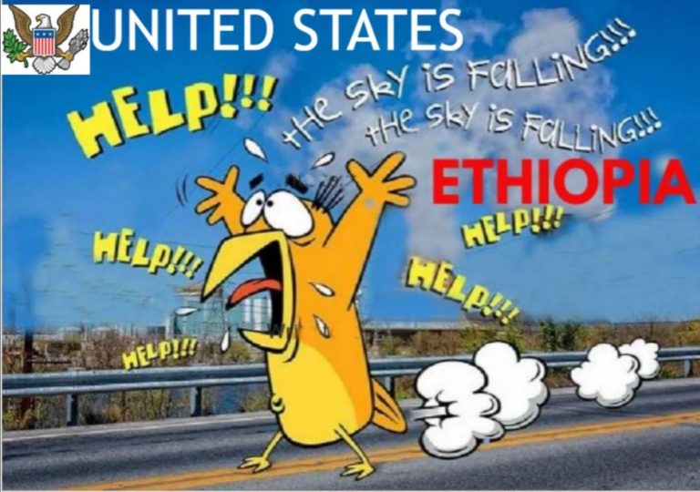 THE EAGLE TURNED CHICKEN LITTLE: “THE SKY IS FALLING ON ETHIOPIA!”