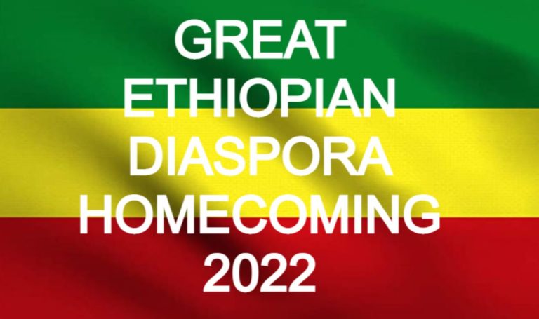 MILLION-STRONG DIASPORA HOMECOMERS ASK, “WHAT CAN WE DO FOR ETHIOPIA/NS WE LOVE?!”