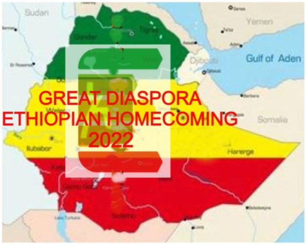 A 10 POINT PROPOSAL FOR DIASPORA ETHIOPIAN ENGAGEMENT DURING THE GREAT   Eth 7 628x502 