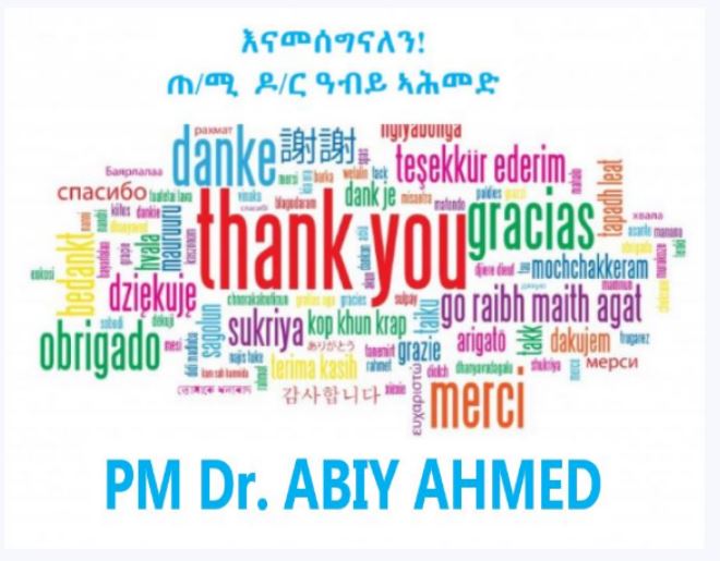 Thank You PM Abiy Ahmed for All You Have Done for Ethiopia! (From December 31, 2018)