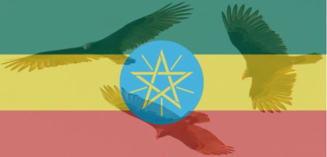 The Vultures of War Circling Ethiopia (The Evidence)