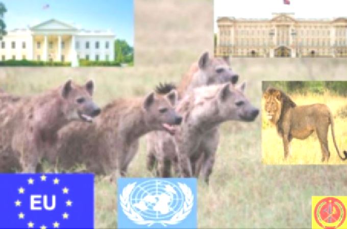 Negotiating with Hyenas: The Latest “Sick Jokes” of the TPLF and Its Evil Patrons/ Partners-in-Crime (Part I- The Evidence)