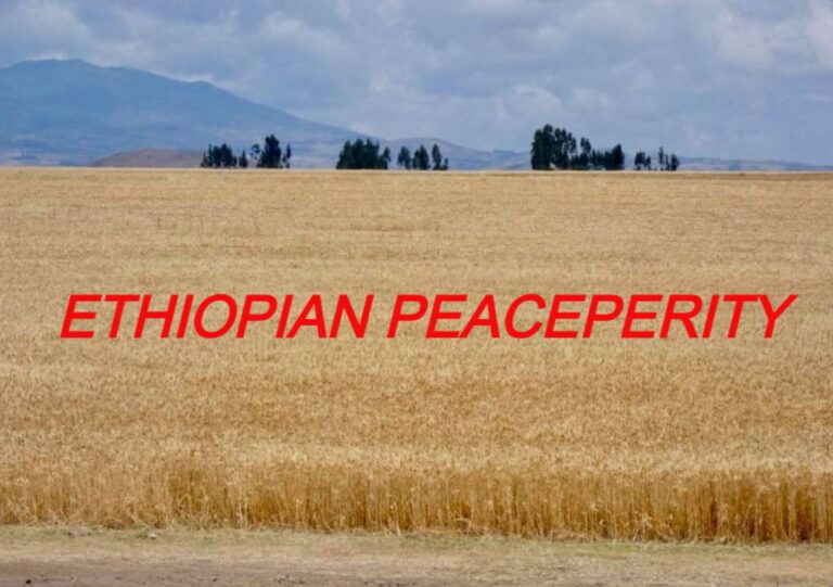 Converting Our Peace Dividend Into ETHIOPIAN PEACEPERITY