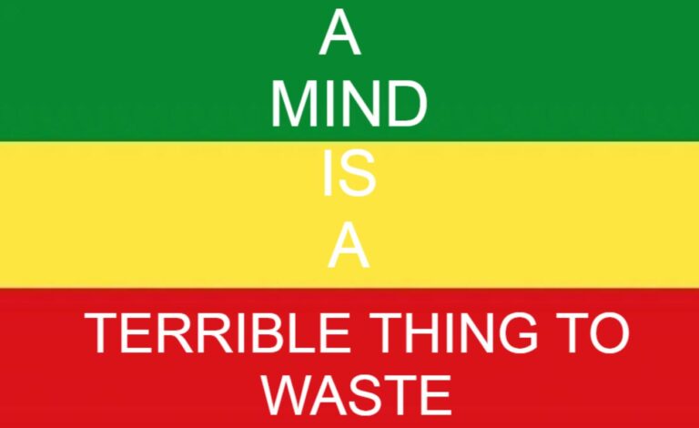 Message to Ethiopian Intellectuals: A Mind is a Terrible Thing to Waste! (Part I)